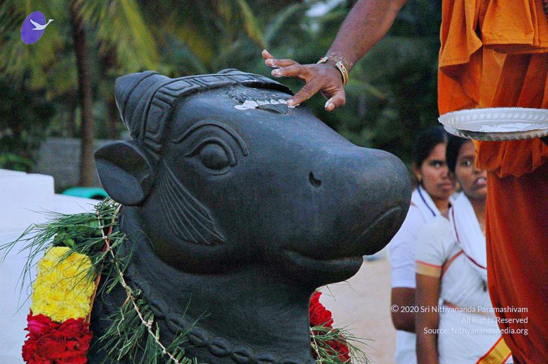 File:20071008 Photo 132 1gqf5cDgjNK3Mbk MSuK5 pdFVvJuDVVW.jpg