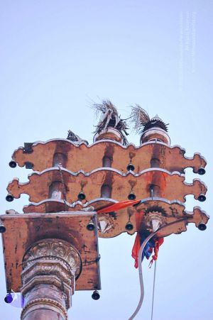 20071008 Photo 143 10kaGkCLCMQn6-iAb1F7y8MTRuhe5AcUf.jpg