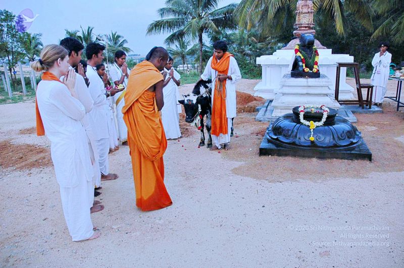 File:20071008 Photo 14 1IxjmkoTTdJ5AWDW-83QQLwIF2U0iNkeu.jpg