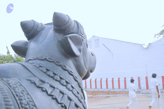 20071008 Photo 156 1orZ34G8mW6N PSUjMhdwx05TRHZ-PJJr.jpg