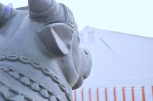 20071008 Photo 157 1z9zLFZJcdtdXweEjqoudPlHal0h7Tn0l.jpg