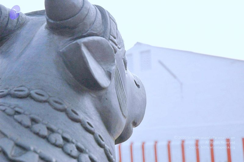 File:20071008 Photo 157 1z9zLFZJcdtdXweEjqoudPlHal0h7Tn0l.jpg