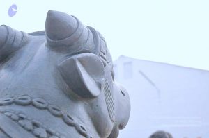 20071008 Photo 158 12XPbRBYvZkZmTKAidqi1zf2KunyvwACh.jpg