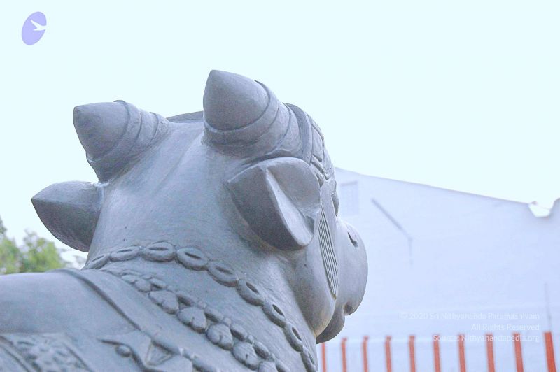 File:20071008 Photo 159 1OsoWXT4TtF9 Xr5a2FWFA7-51dw7nNuB.jpg