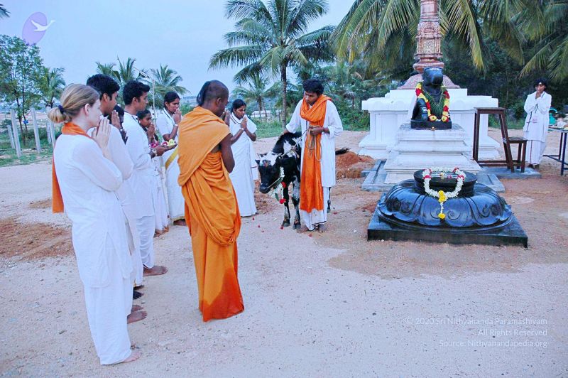 File:20071008 Photo 15 1fnr0BRs7FCsMyyo30GxJuq3BBRQfaMJB.jpg