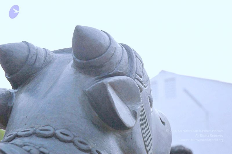 File:20071008 Photo 160 1kIfO3rca 2GbqgRhKFLVH58Ji usW9fy.jpg