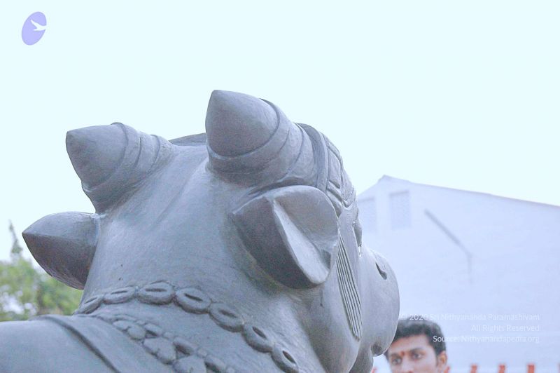 File:20071008 Photo 161 1H8I7tsGBL7GXGo-3Ux-C2coeb7IsnTlJ.jpg