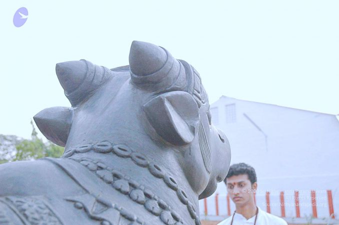 20071008 Photo 163 1dRKMsSj8Tfyr-41CM2K61QECxbdemhl3.jpg