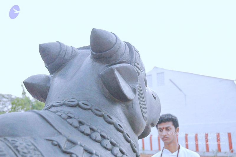 File:20071008 Photo 163 1dRKMsSj8Tfyr-41CM2K61QECxbdemhl3.jpg