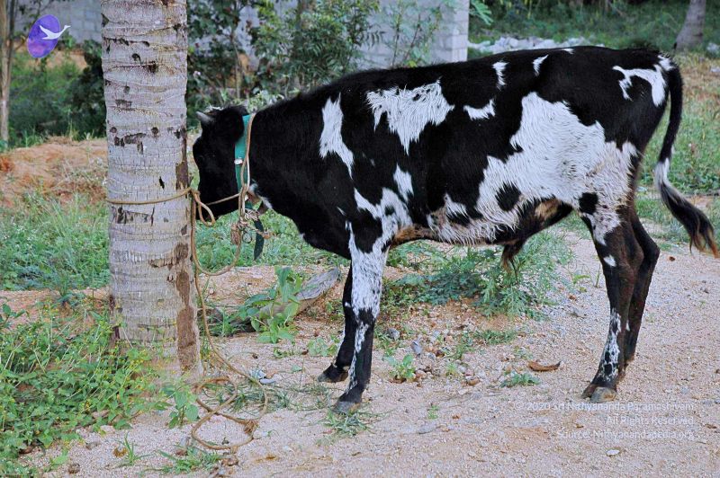 File:20071008 Photo 165 1WTaCBEXZT8WbII71BMYlkqPOznzC3Zr .jpg