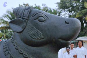 20071008 Photo 167 1waC1wNXbBHb0GLpIQVzETO5jxnhuS5jX.jpg