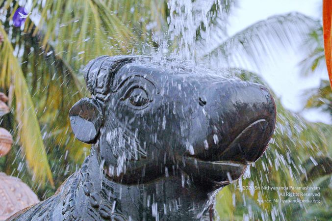 20071008 Photo 183 1F0aArJ1ZK57lqITeeM2EhyBGVJEY Sim.jpg