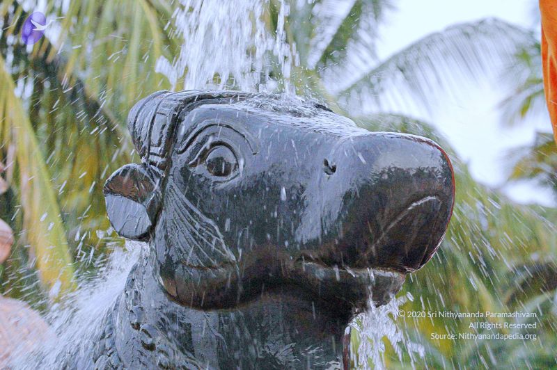 File:20071008 Photo 185 1eQDpXRl7EIvSwo08C2-OyidENsF66OTd.jpg