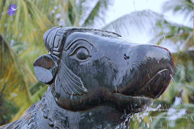 File:20071008 Photo 187 17UZ3PF9ifiOJnQxnIlUgpoLQCQyEeH8k.jpg