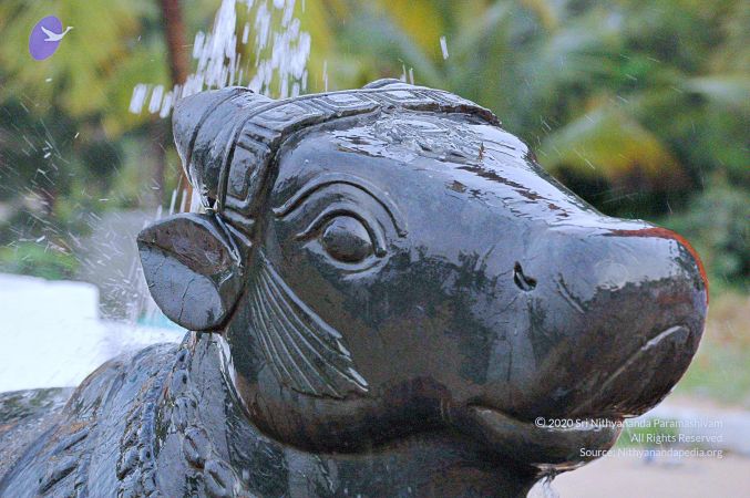 20071008 Photo 188 1 zMVG1OYkXBIAuTmqTPSsP1dNc5fLtsh.jpg