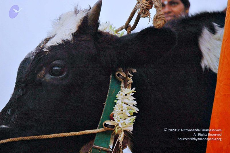 File:20071008 Photo 18 1SM4DniKnrsnJrI0t-l3dVuP8mwp-T7jG.jpg