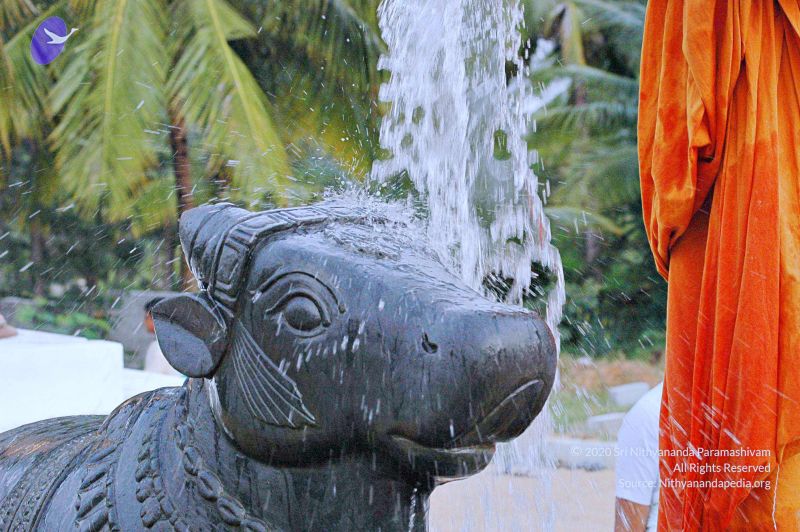 File:20071008 Photo 190 1bPy3Pz8vHu8HXdFDatn w5bO TtsnRTx.jpg