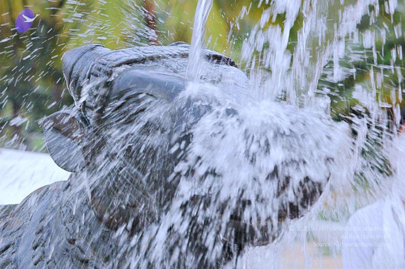 File:20071008 Photo 197 1FZb3xjpL7p6EFas2v8rnrUCMQ8PYQnFk.jpg