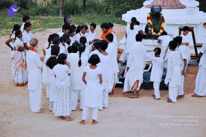 20071008 Photo 1 1H2qCIAtPAQoQsxnSQTud2YaaY1iwcEh8.jpg