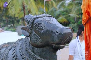 20071008 Photo 201 1ACRuxBNOuop1KIIsmYfIrw2mwx8xfv2b.jpg