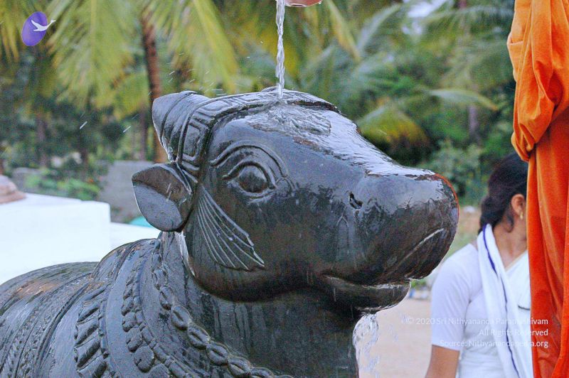 File:20071008 Photo 201 1ACRuxBNOuop1KIIsmYfIrw2mwx8xfv2b.jpg