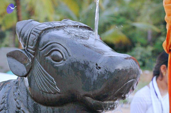 20071008 Photo 202 1D6YHqXfUCbzeZ1jI27Dmt2OietQAhSR .jpg