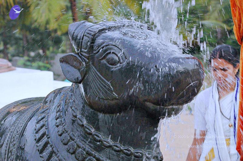 File:20071008 Photo 204 1L2TEzGdLFD -QtcOfARyd3eX6Vc2FYfI.jpg