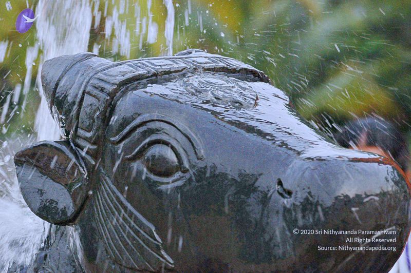 File:20071008 Photo 205 1fXlP6X30owRIHOhIPyDY7d0KJDzZQ8Fr.jpg