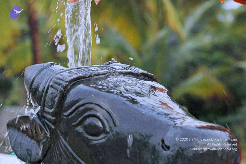 File:20071008 Photo 207 1MOPYeFQCRtrBzxjhnSjDw6BvzRfzsB5E.jpg