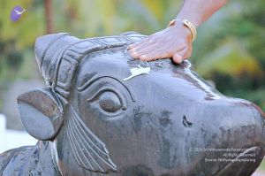 20071008 Photo 208 16g3Hi43 Zvxpgq5PVLL1YVTxU1lwC3AF.jpg