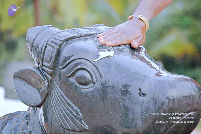 File:20071008 Photo 208 16g3Hi43 Zvxpgq5PVLL1YVTxU1lwC3AF.jpg