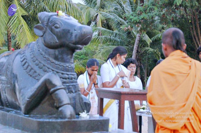 20071008 Photo 209 1X4zOb0MCLfp4HmVubuvUfUAavpekR4P .jpg