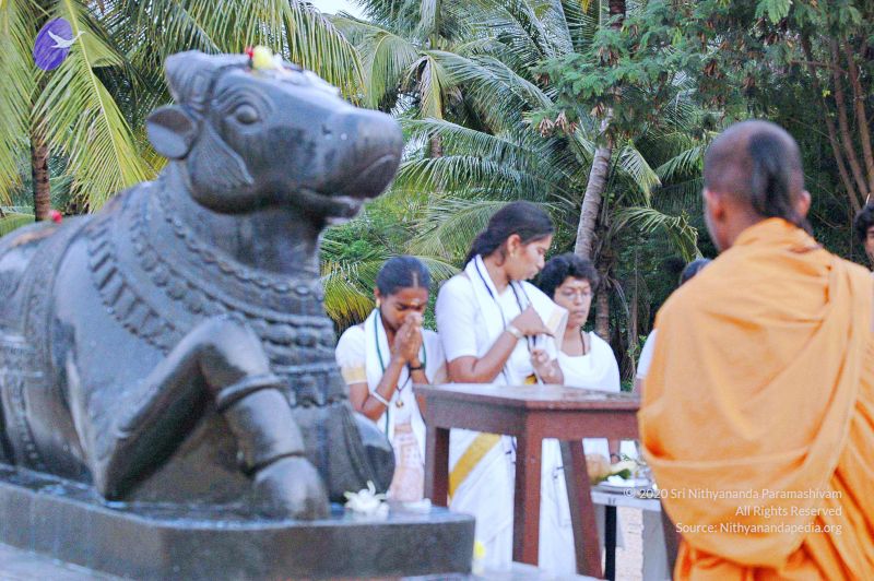 File:20071008 Photo 209 1X4zOb0MCLfp4HmVubuvUfUAavpekR4P .jpg