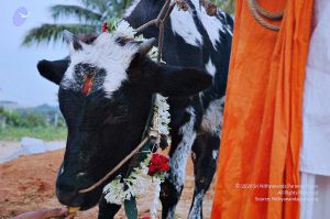 20071008 Photo 20 1TUxzzXf JKSwEjfuhwbfDl0ieOiTYacx.jpg