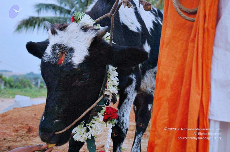 File:20071008 Photo 20 1TUxzzXf JKSwEjfuhwbfDl0ieOiTYacx.jpg