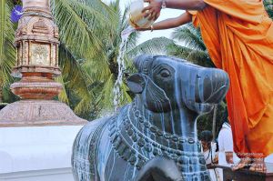 20071008 Photo 224 1tti7E02WEXFNUEHNRcQId2z4Uhzac8Pp.jpg