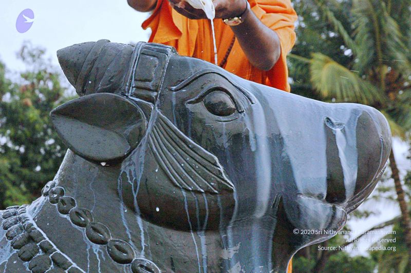 File:20071008 Photo 226 11Ue21xIKqRF rPuedwRgsaYueNkHBP24.jpg