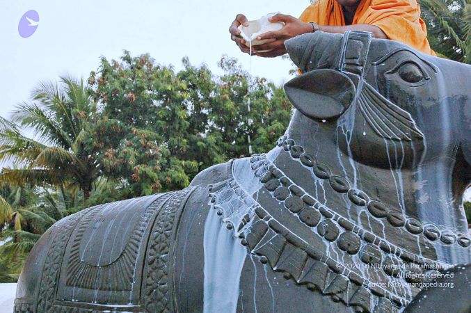 20071008 Photo 227 1xga53C8JMcg0rnXk0NJVeGwH6GYS Fup.jpg