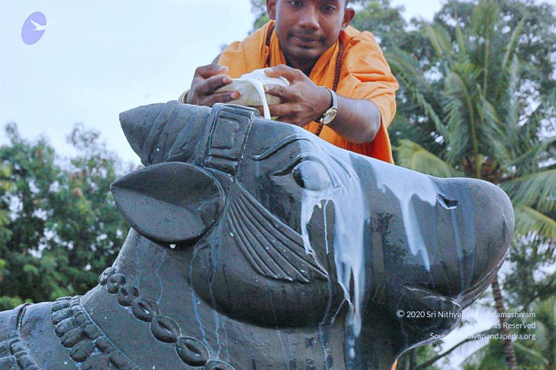 File:20071008 Photo 230 1D-Svh7NR3l1LURE8zkdpBXqHyxJCllyR.jpg