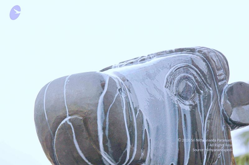 File:20071008 Photo 233 1kmyIMgksaK0gHf39OU8puQx0Wkj2HAdv.jpg