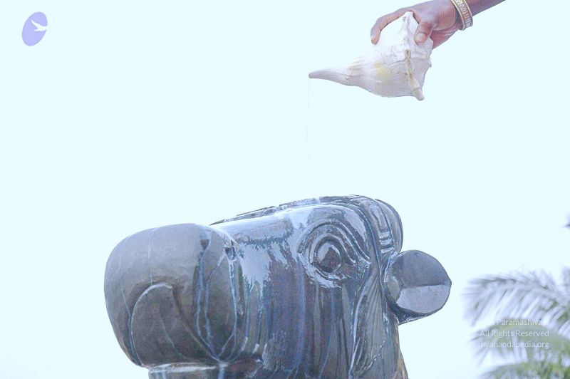 File:20071008 Photo 235 1d vz8Qz zL2PuF6mt0Q5ypdUIteYg8eU.jpg