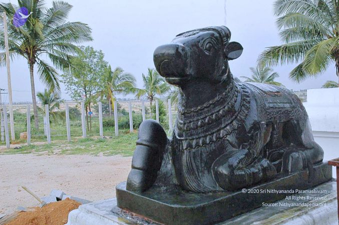 20071008 Photo 240 1a-JEdSnjxqsIdiLKj gpOq9aHnLopeEq.jpg