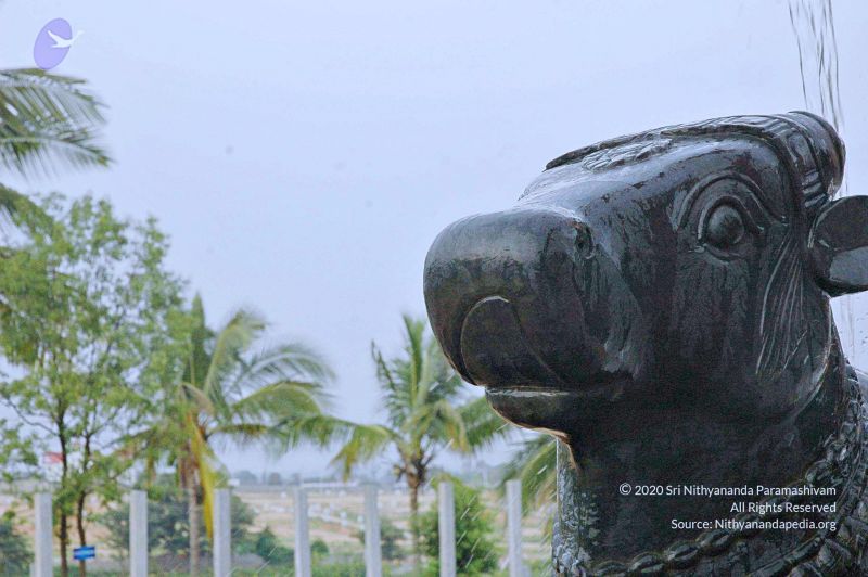 File:20071008 Photo 242 1kI8-YP4LDGn3iU7TaS eWsnrh5Ol-N4I.jpg