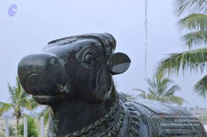 20071008 Photo 244 18JkBBAE3l8fWVpC6WqIY8Fd LKekypMs.jpg