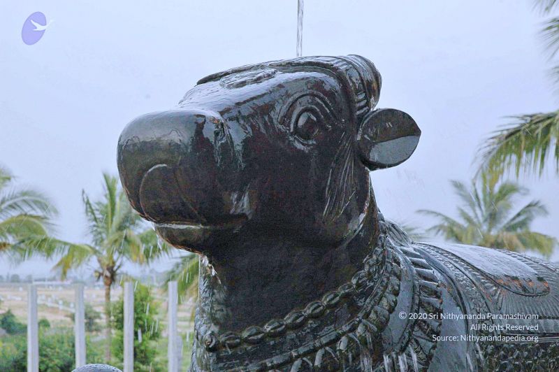 File:20071008 Photo 245 1W2IXqnTbY6D8FP2ONkvjTA9xAI2x2QaV.jpg