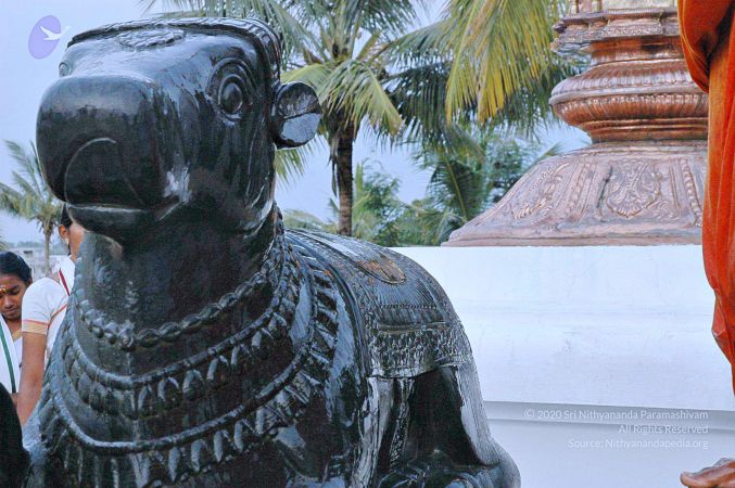 20071008 Photo 247 1- UBZOQqp2 qgsVyAzEggg2O o8Sw09F.jpg