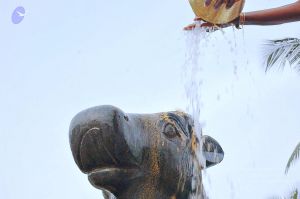 20071008 Photo 248 1R9dKXppKSN0iDNiVS2qF8WjlvRljVygC.jpg