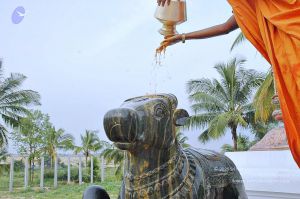 20071008 Photo 249 1KgAmaFO6pK1NMbkC2VQ005fLCybCTF4U.jpg