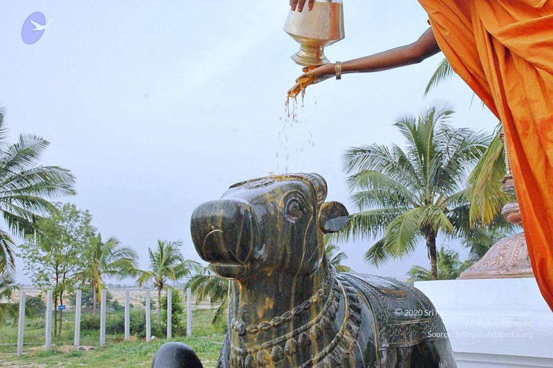 File:20071008 Photo 249 1KgAmaFO6pK1NMbkC2VQ005fLCybCTF4U.jpg