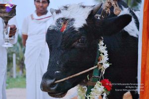 20071008 Photo 24 1 TPlFkmUFze H2N50OCbBGD9dpU7W1BN.jpg